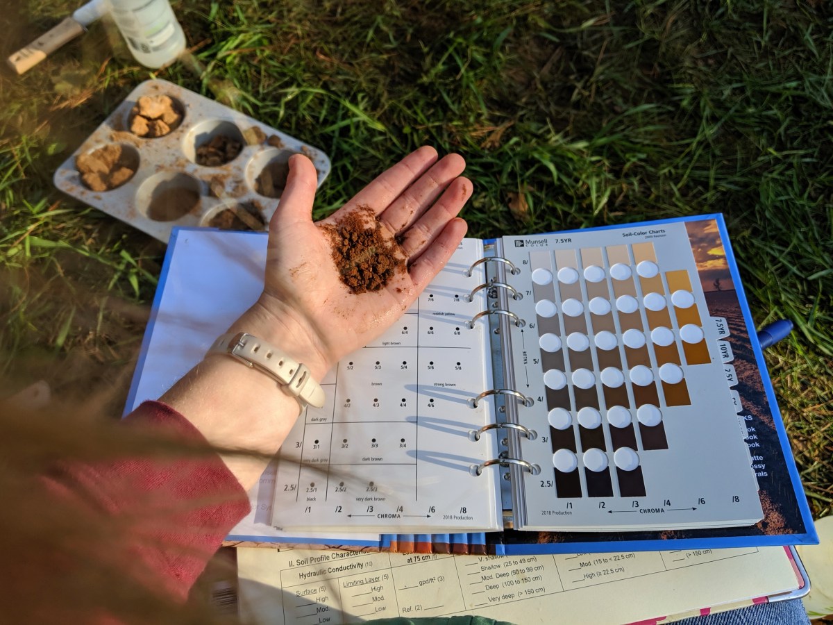 Soil Science 101 (and Beyond)